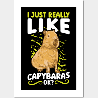 I Just Really Like Capybaras, OK? Posters and Art